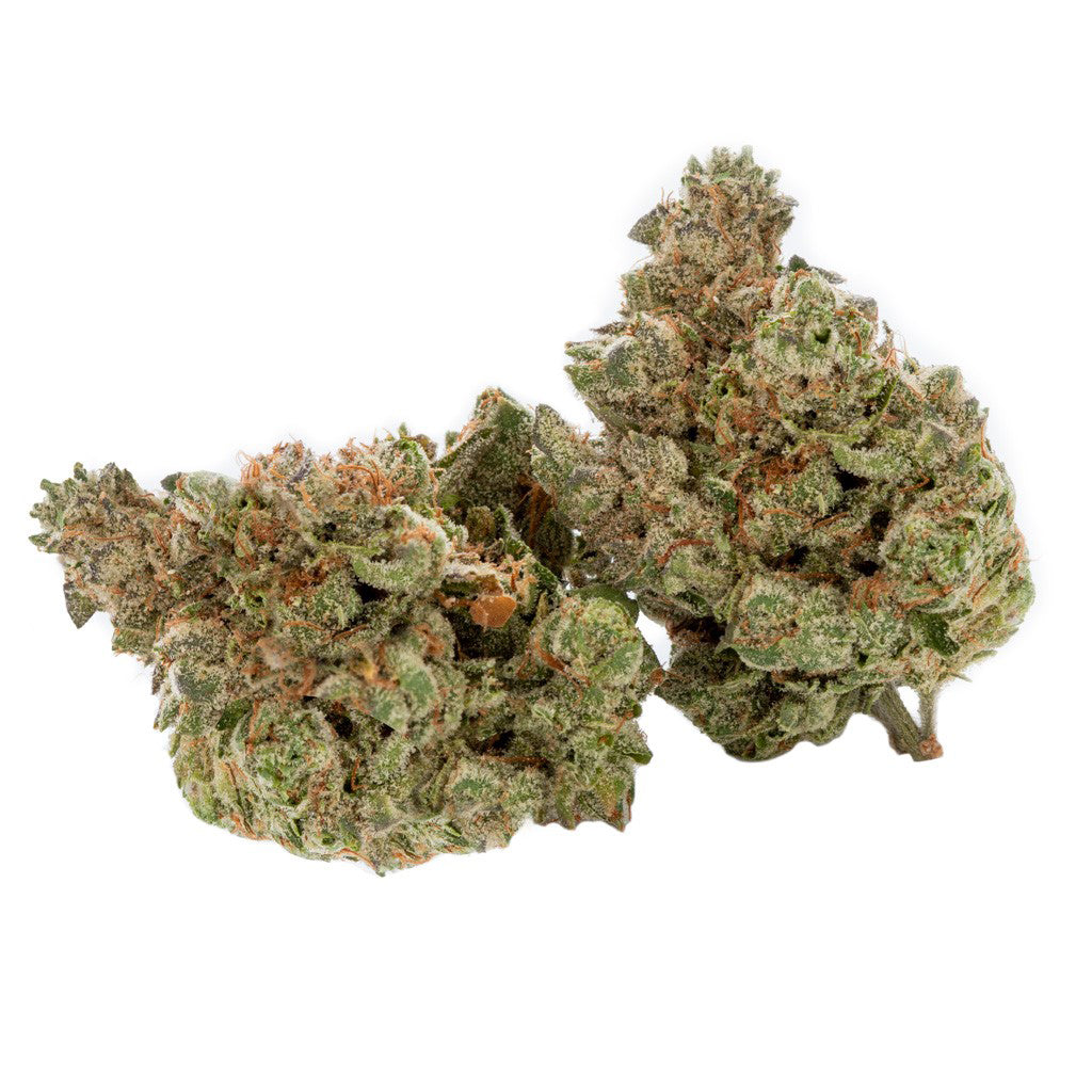 CACTUS BLACK TRIANGLE (IND) DRIED - 3.5G