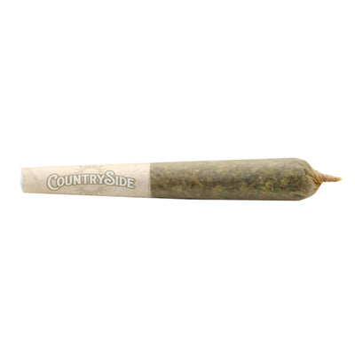 COUNTRYSIDE HONEY OIL (H) INF PRE-ROLL - 0.5G X 3