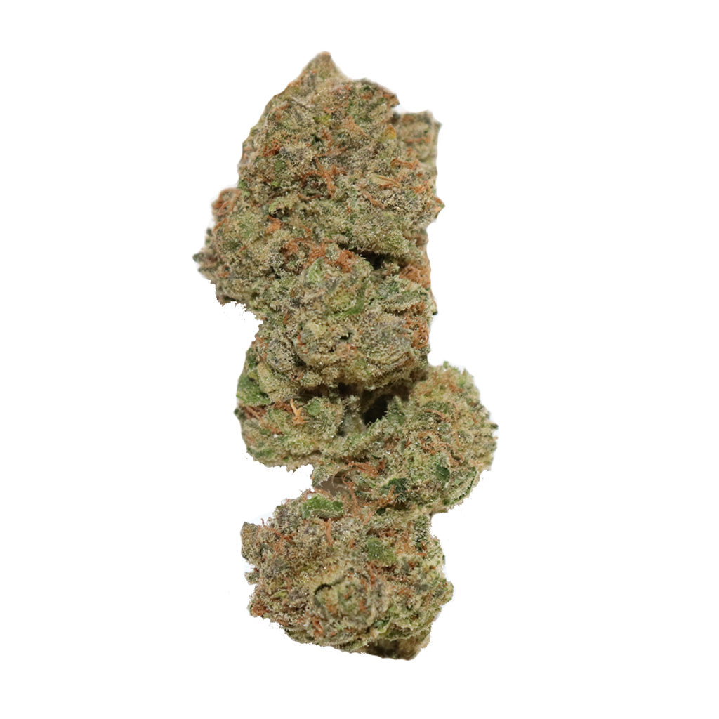 EVIDENCE BAG RNTZ (H) DRIED - 1G