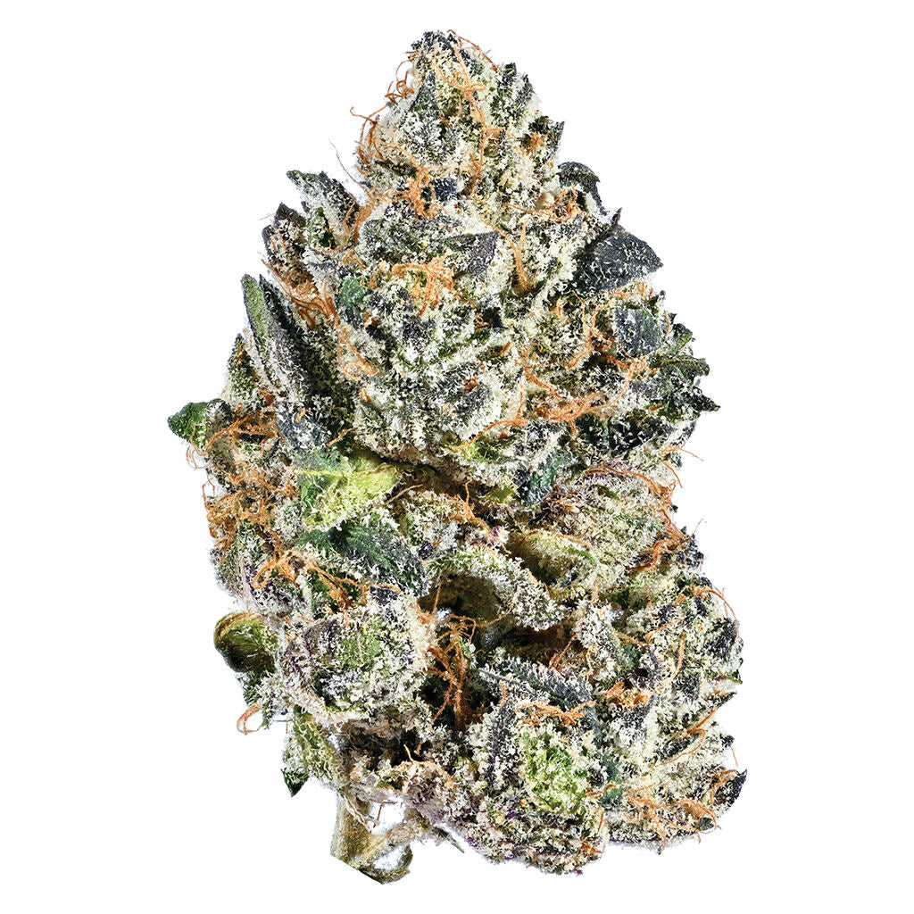 TRIBAL GALACTIC RNTZ (IND) DRIED - 3.5G