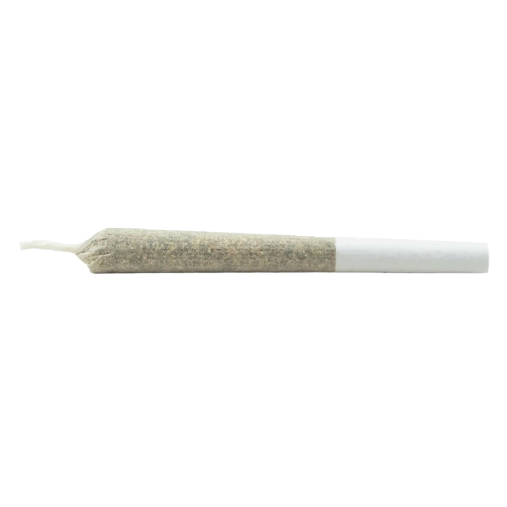 ROLL N GOLD THC (S) INF PRE-ROLL - 0.5GX1
