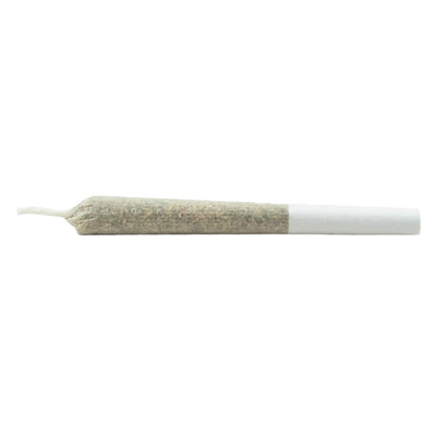 ROLL N GOLD THC (S) INF PRE-ROLL - 0.5GX1