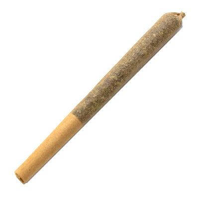 SITKA MICRO COLLECTION STRAWB LEMONADE (S) PRE-ROLL - 0.5GX3