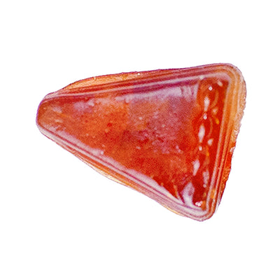 WAYNE PATRICK SHATTER SLICE (H) SHATTER - 1G