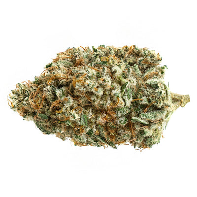 SOAR ALIEN FUEL (H) DRIED - 7G