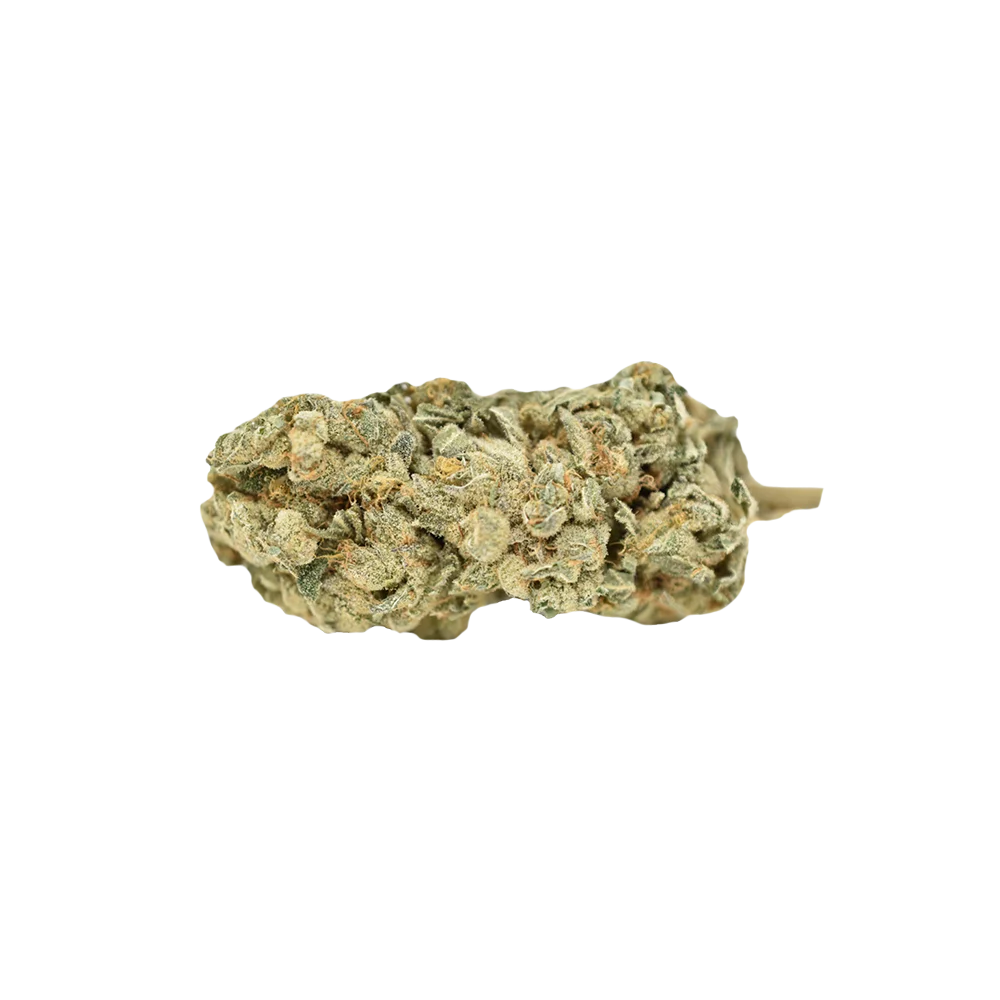 WEED ME BLUE IGUANA (H) DRIED - 28G