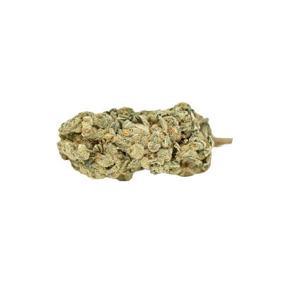 WEED ME BLUE IGUANA (H) DRIED - 28G