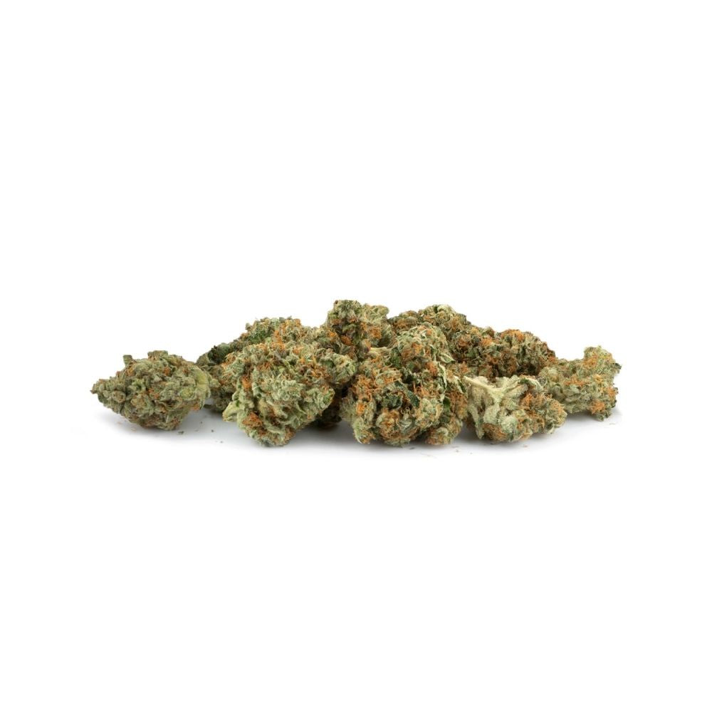 PALMETTO JACKPOT (H) DRIED - 28G