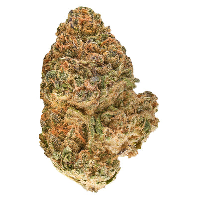 REDECAN ANIMAL RNTZ (IND) DRIED - 3.5G