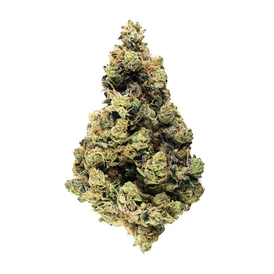 BROKEN COAST SOUR OG (S) DRIED - 14G