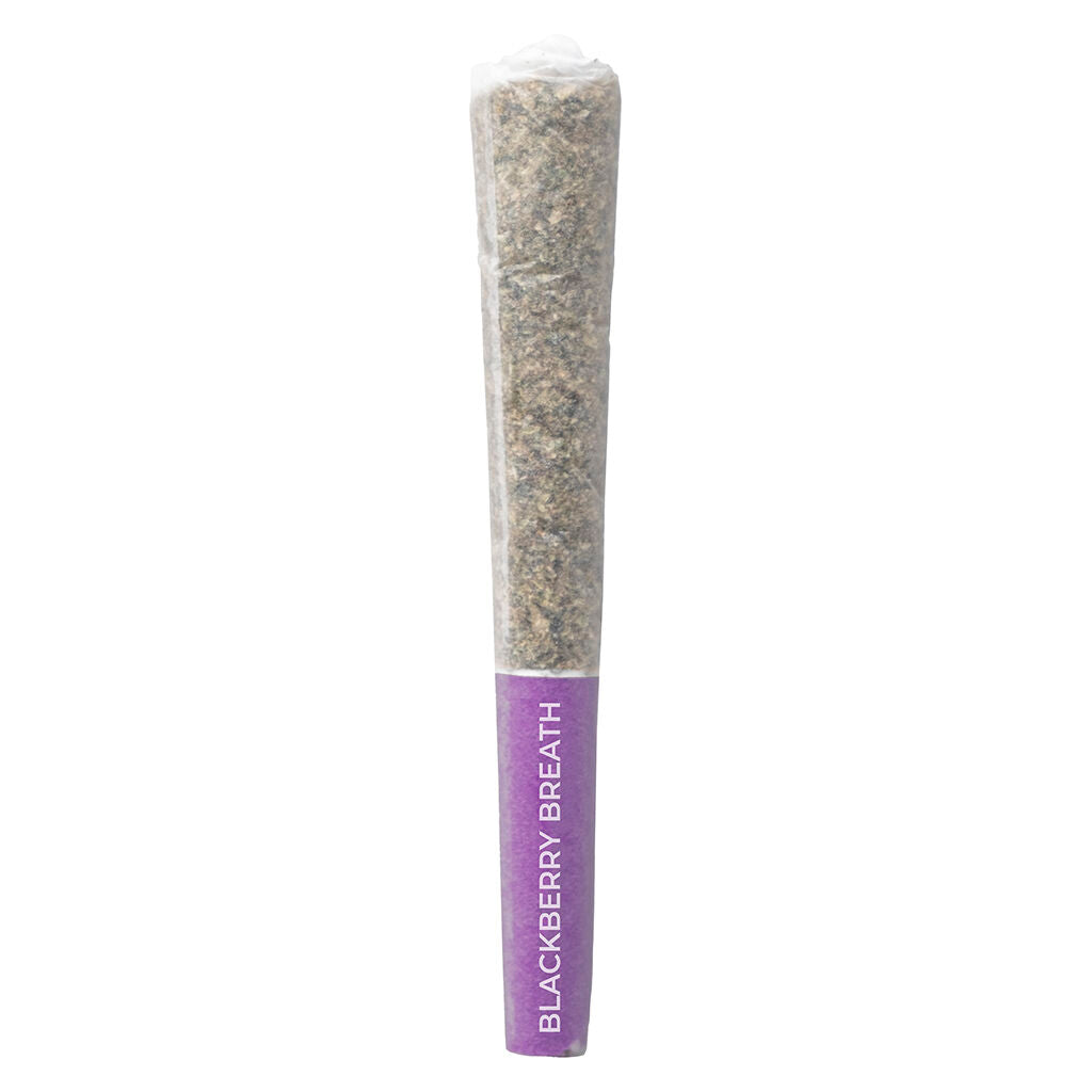 PISTOL AND PARIS BLACKBERRY BREATH (H) PRE-ROLL - 0.5G X 3