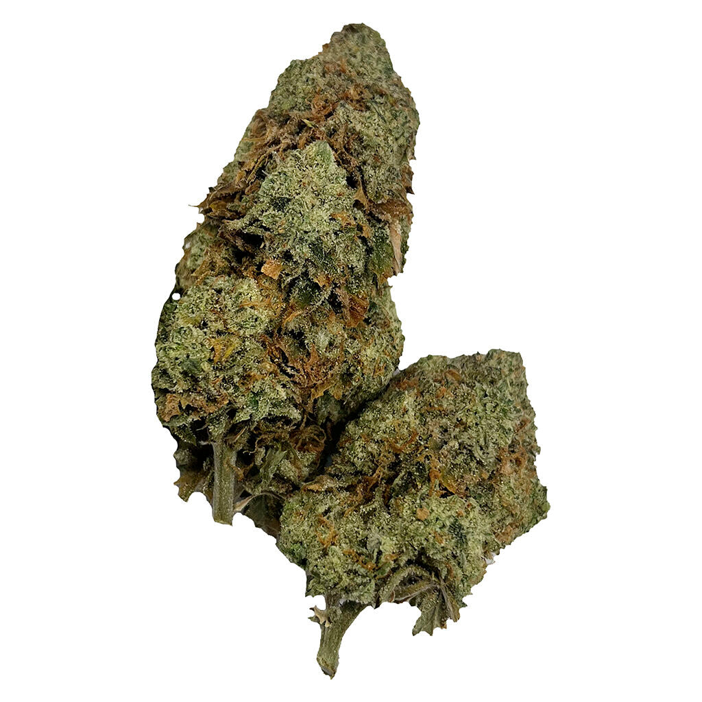 1964 SUPER LEMON HAZE (S) DRIED - 3.5G