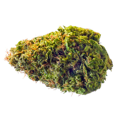 REDECAN VIOLET FOG (IND) DRIED - 3.5G