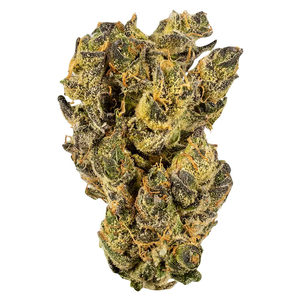 HOMAGE CITRUS TSUNAMI (S) DRIED - 3.5G