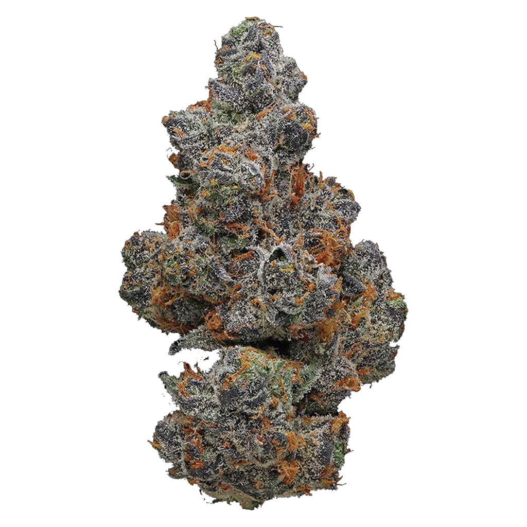 POTLUCK APPLE FRITTER (IND) DRIED - 7G
