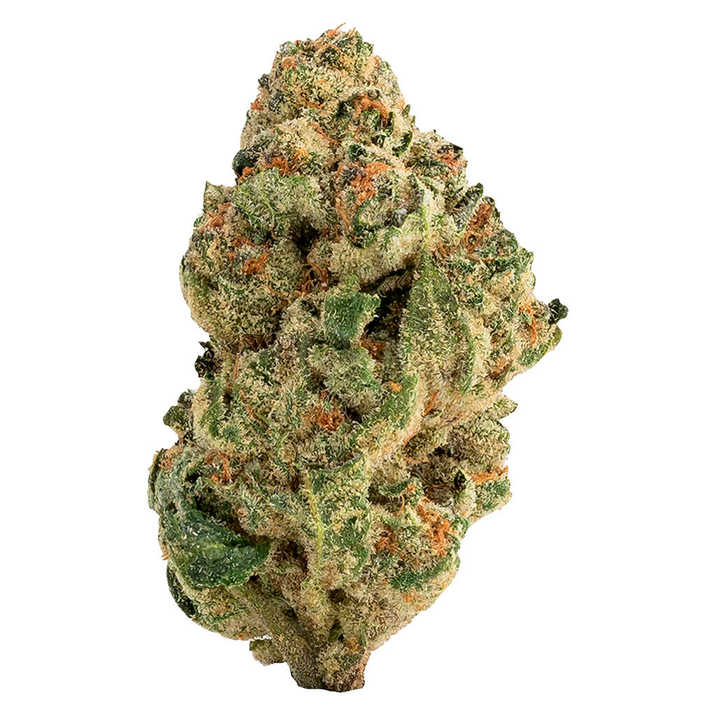THE LOUD PLUG VENOM OG (IND) DRIED - 28G