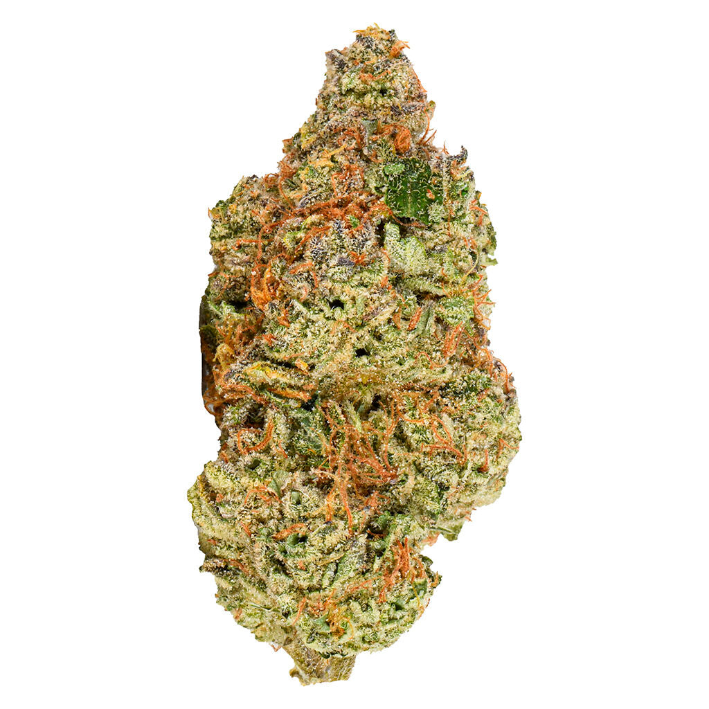 VIOLA AI 96 (IND) DRIED - 3.5G