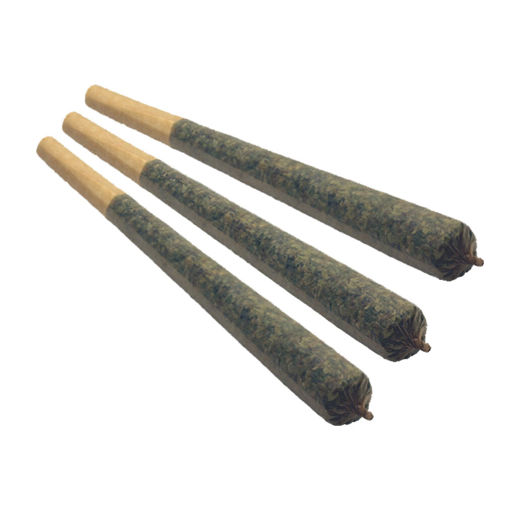 GREENSEAL MOON LANDING (S) INF PRE-ROLL - 0.5G X 3