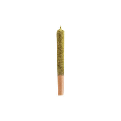 VERSUS SLUGGER BC PURPLE KUSH (IND) INF PRE-ROLL - 1G X 1