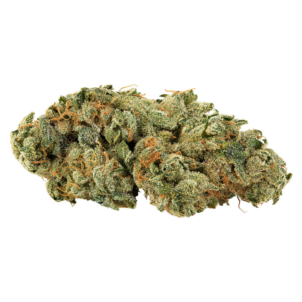 HOLY MOUNTAIN GMO TROPICAL REIGN (S) DRIED - 3.5G