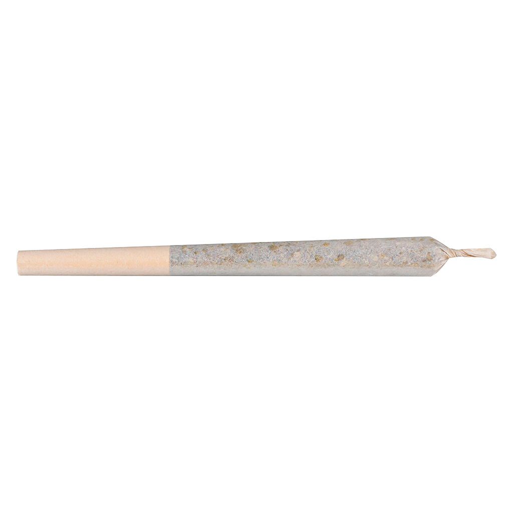 BROKEN COAST PLATINUM GARLIC (H) PRE-ROLL - 0.5G X 1
