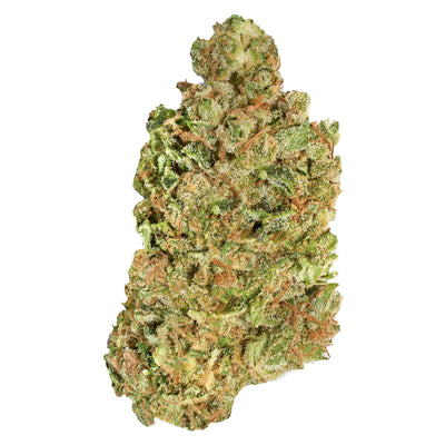 CANACA GHOST GELATO (IND) DRIED - 28G