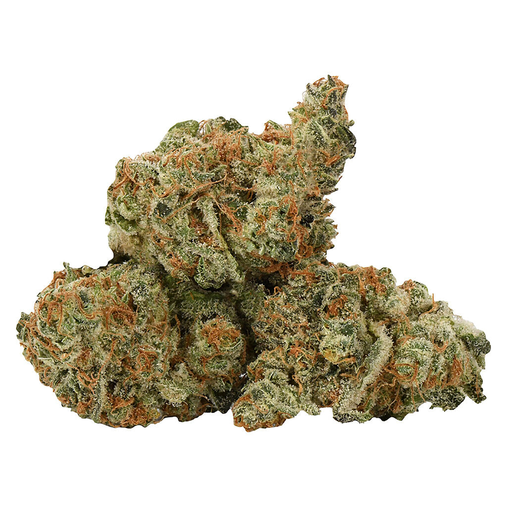 NESS BERMUDA SOUR (S) DRIED - 7G