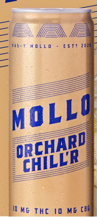 MOLLO ORCHARD CHILLR CIDER (H) BEV - 10:10MG THC:CBG X 355ML