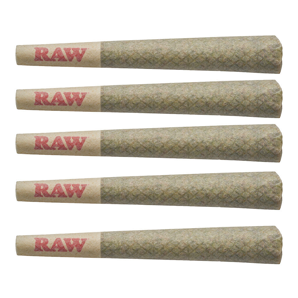 ORCHID CBD CBD RUNTZ (H) PRE-ROLL - 0.6G X 5