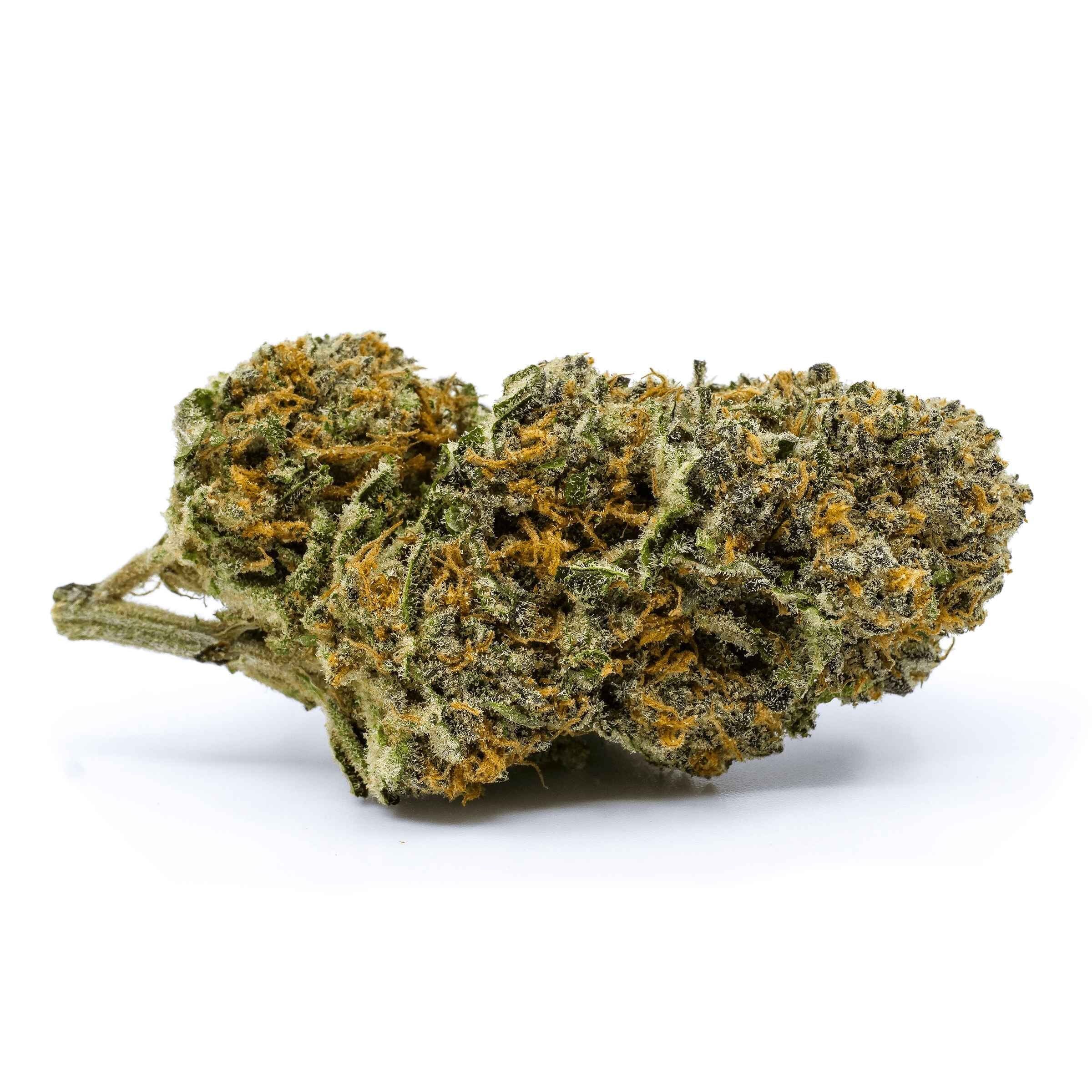 REDECAN WAPPA (IND) DRIED - 14G