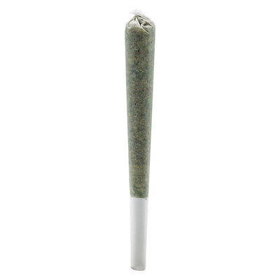 SIMPLY BARE ORGANIC ROSIN ROLL (H) INF PRE-ROLL - 0.5G X 3