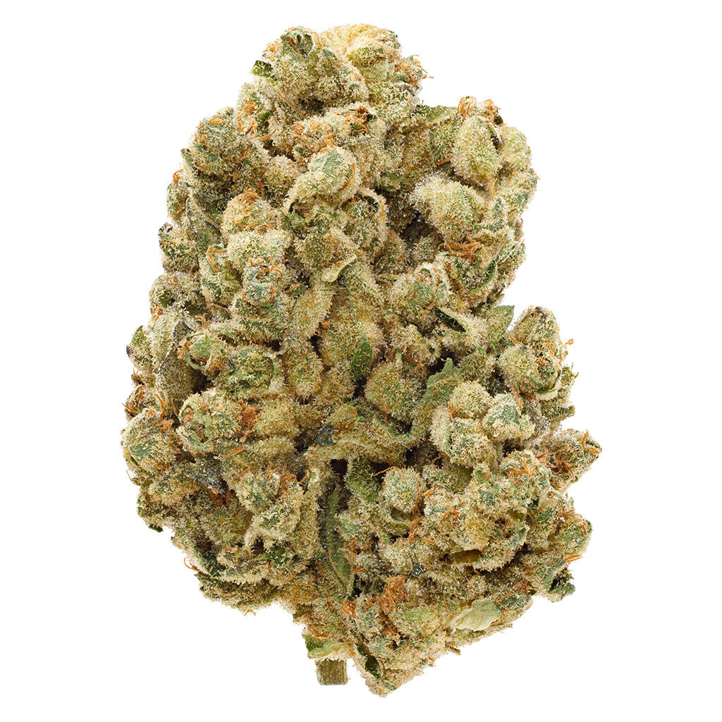 SAN RAFAEL 71 SOURDOUGH (IND) DRIED - 14G