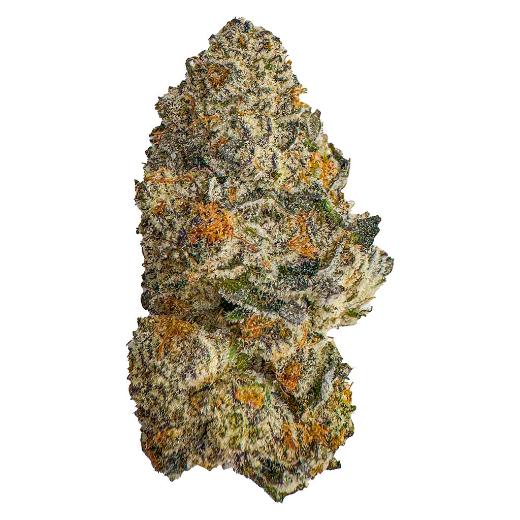 FRESH PURPLE GAS MASK (IND) DRIED - 3.5G