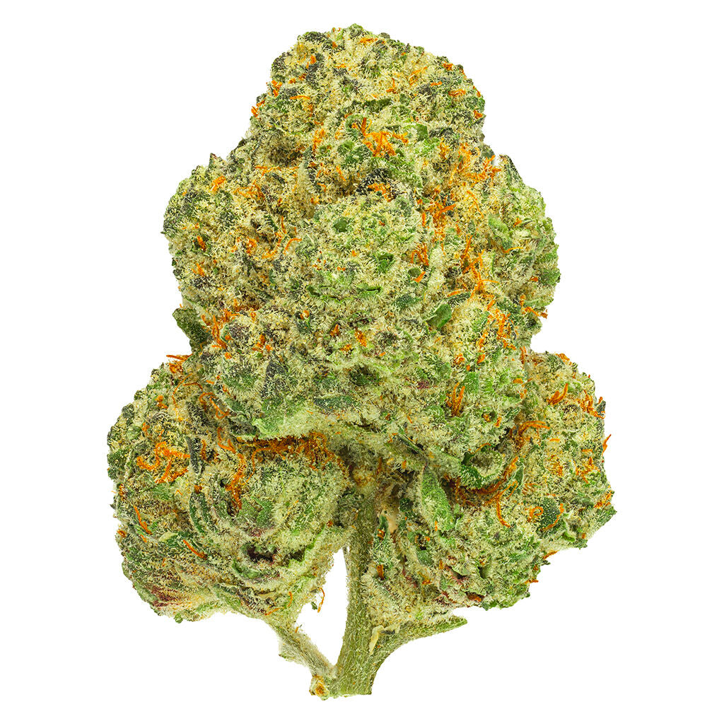 SAN RAFAEL 71 CHEMANGO KUSH (IND) DRIED - 3.5G