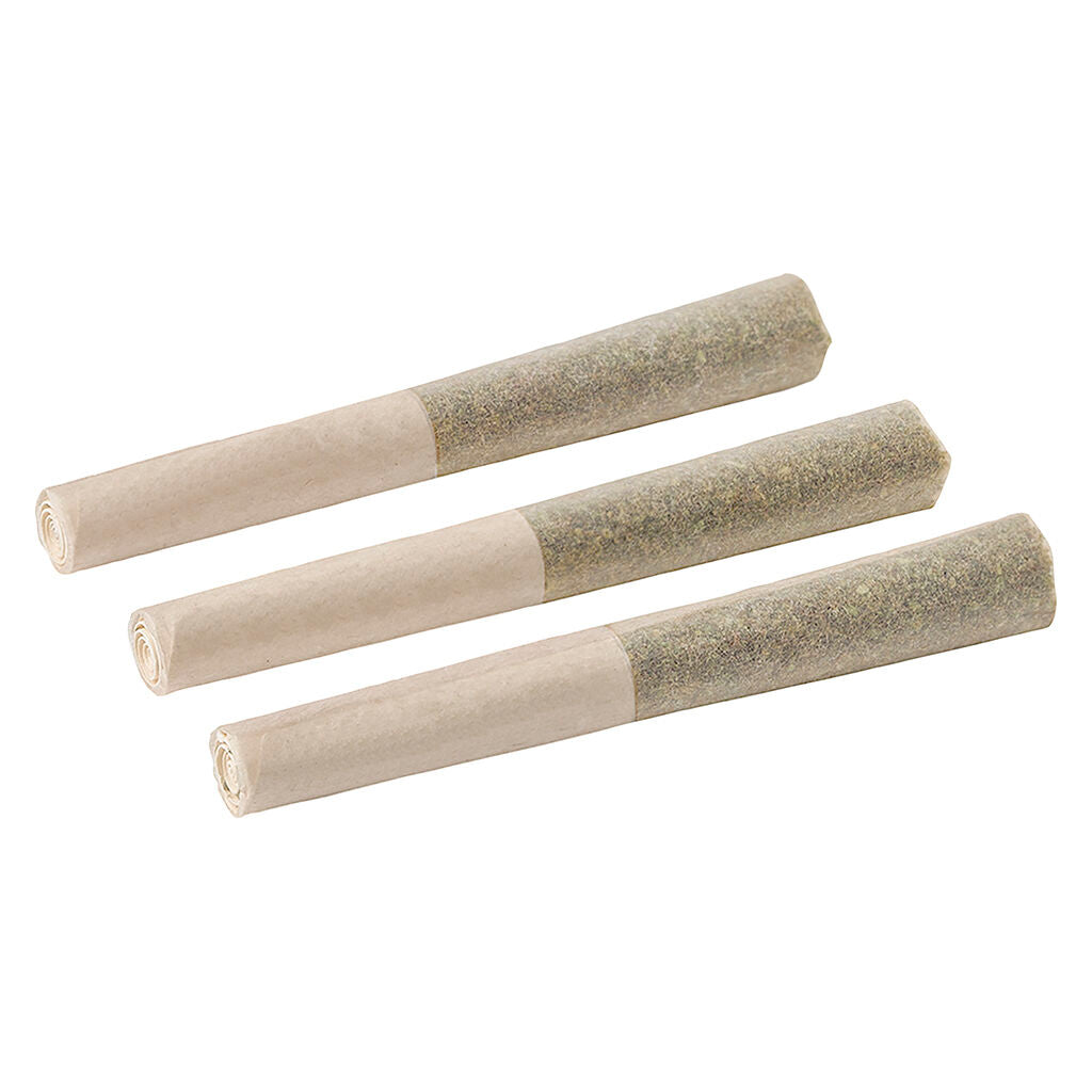 BACK FORTY WATERMELON ICE (IND) INF PRE-ROLL - 0.5G X 3