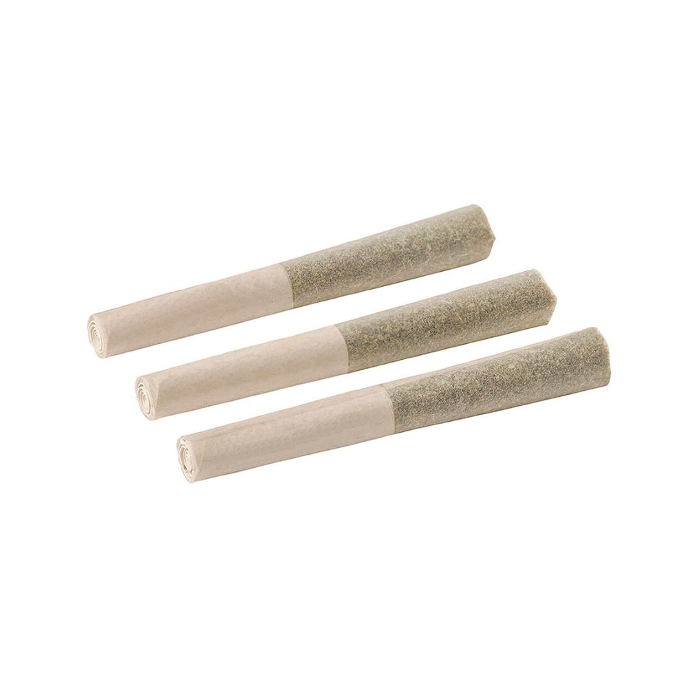 BACK FORTY WATERMELON ICE (IND) INF PRE-ROLL - 0.5G X 3