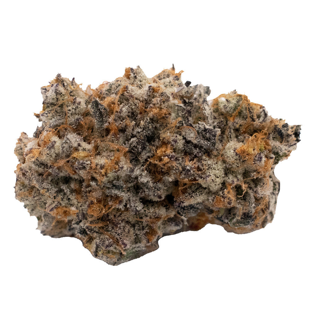 TOMMYS CRAFT CHOICE (H) DRIED - 3.5G
