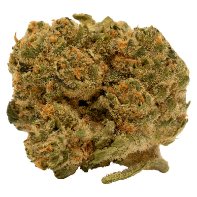 TWEED CHEMSICLE (S) DRIED - 14G