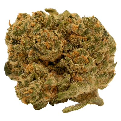 TWEED CHEMSICLE (S) DRIED - 14G