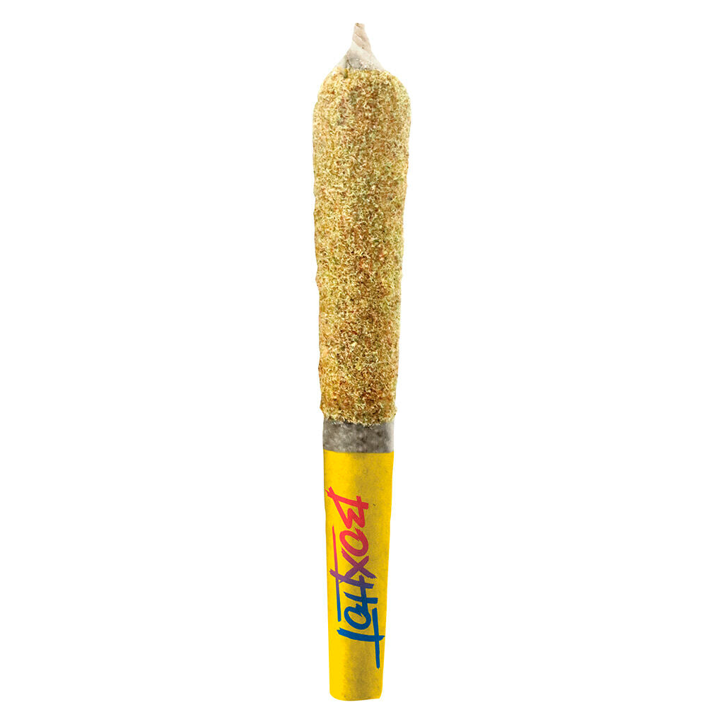 BOXHOT DUSTIES BUBBA FRUIT KIEF COAT (H) INF PRE-ROLL 0.5GX3