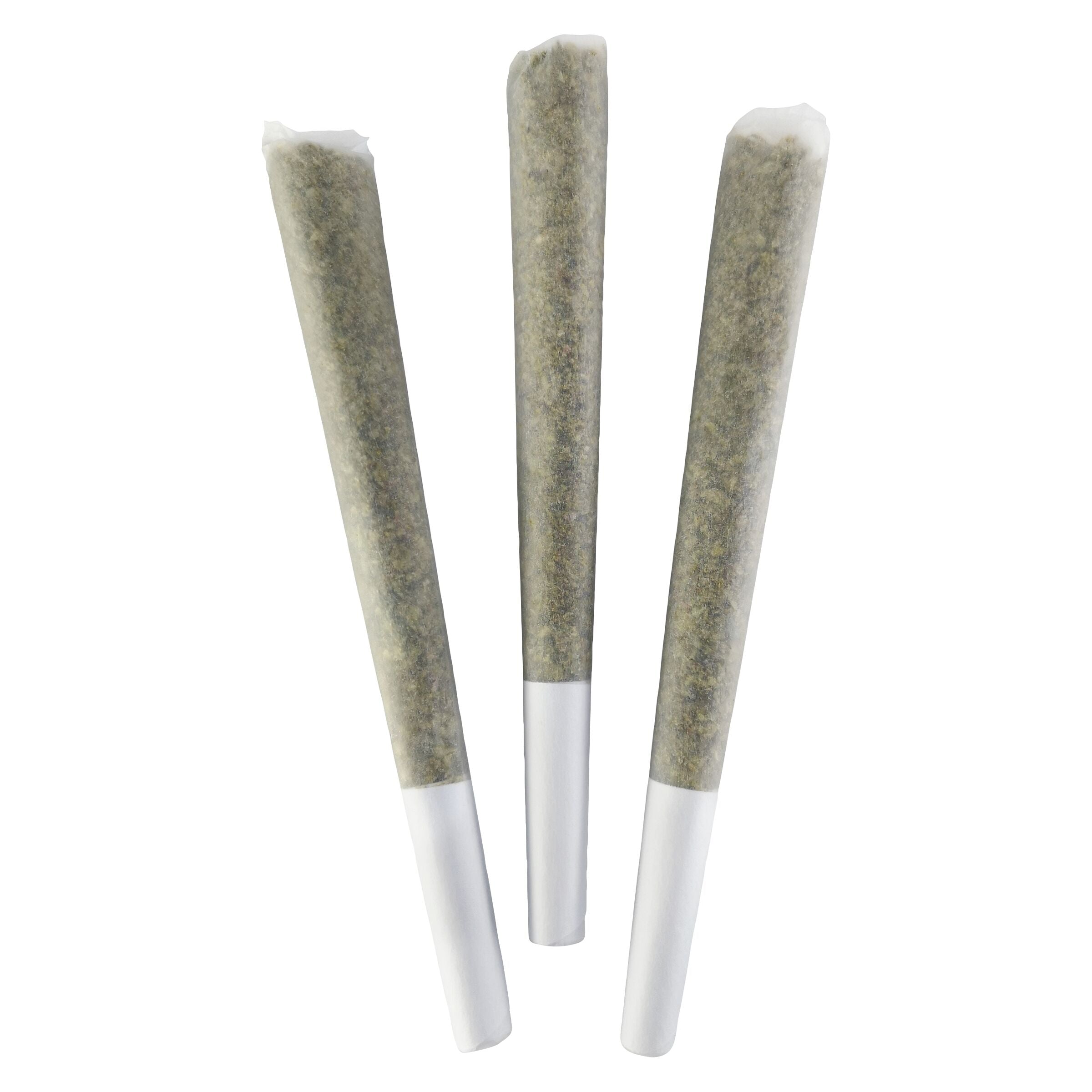 GENERAL ADMISSION PINK GUAVA (S) INF PRE-ROLL - 0.5G X 3
