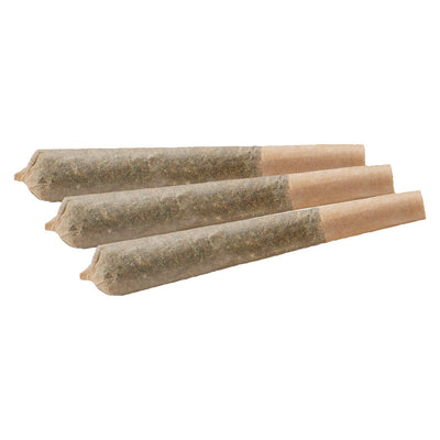 VACAY TROPICALI (H) PRE-ROLL - 0.5G X 3