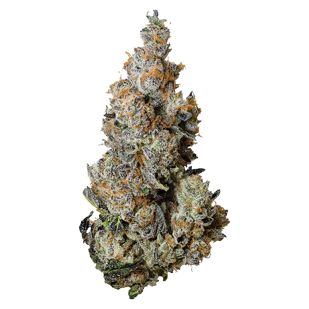 TRIBAL TRIPLE BURGER (IND) DRIED - 3.5G