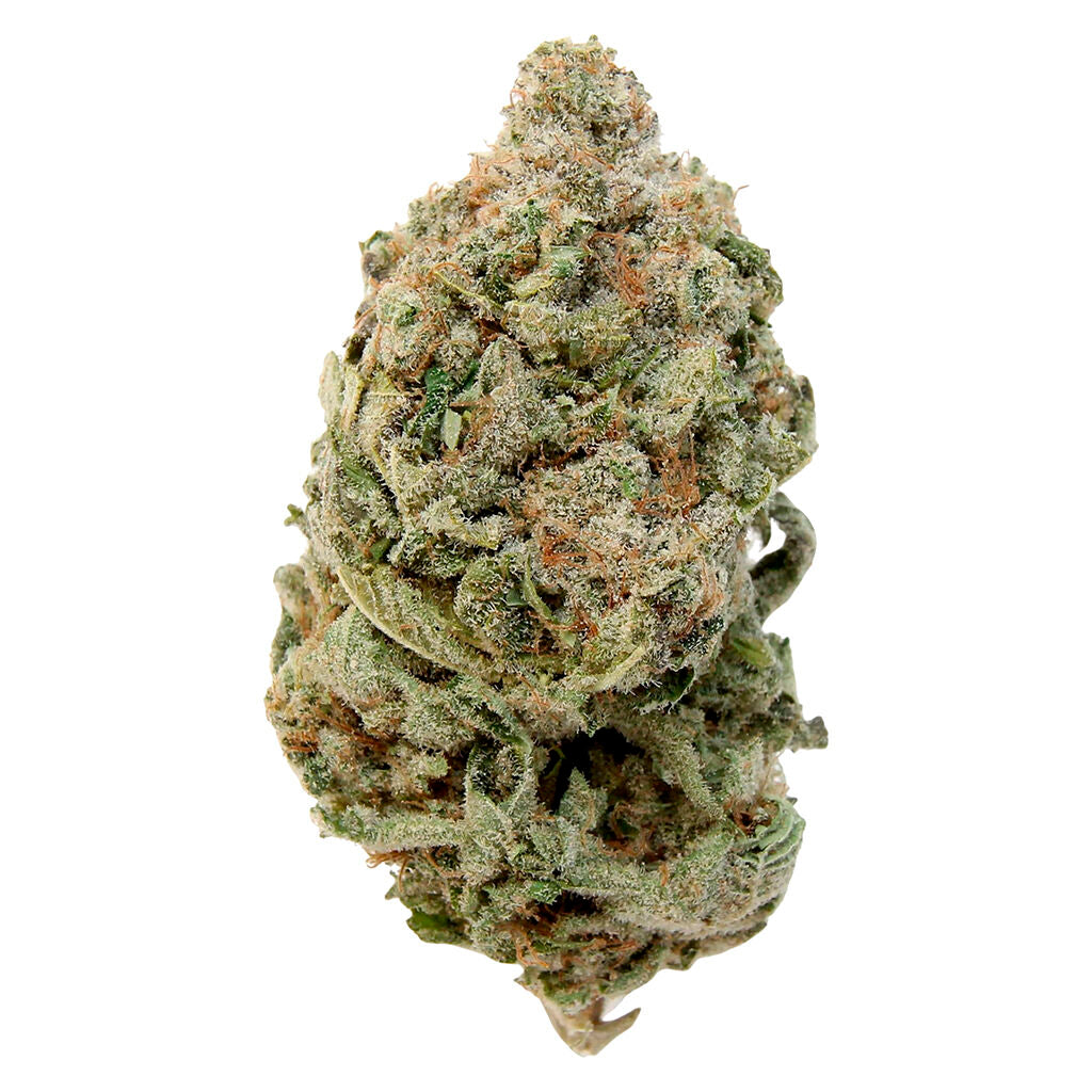 CHOICE GROWERS GRAPEFRUIT GOD BUD 2.0 (IND) DRIED - 1G