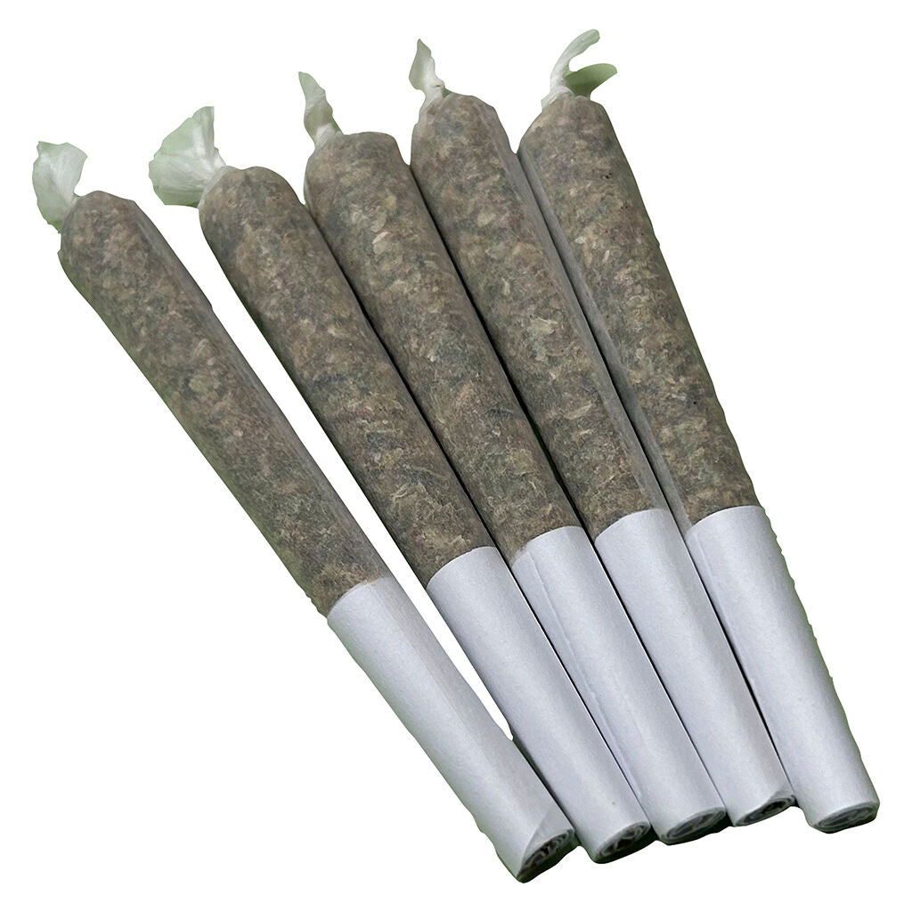 ERIE GREEN BISCOTTI HOTTIE (H) PRE-ROLL - 0.5G X 1