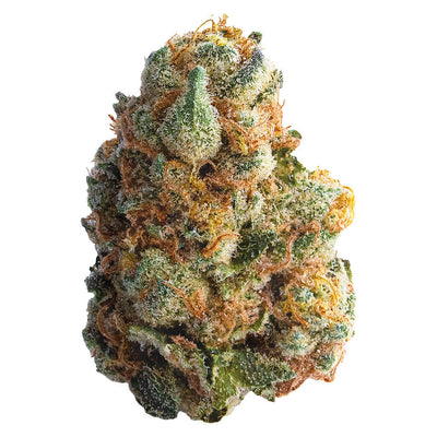 SPINACH GMO COOKIES (IND) DRIED - 14G