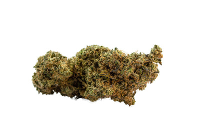 REDECAN KING SHERB (IND) DRIED - 14G