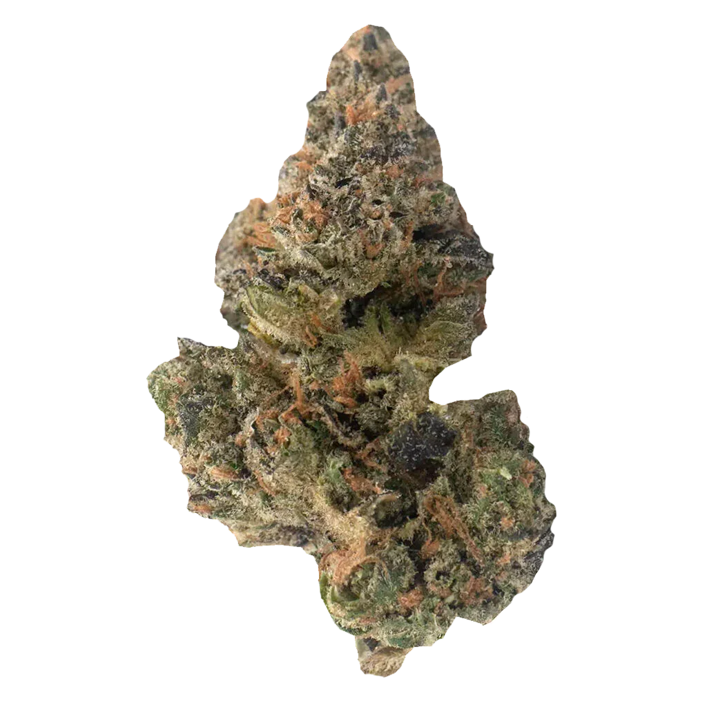 WEED ME MAPLE RNTZ (IND) DRIED - 7G