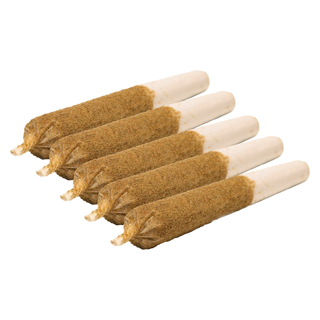 GENERAL ADMISSION RAINBOW SHERB (H) INF-PRE-ROLL - 1G X 1