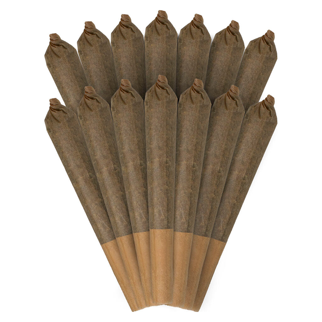 RIPPED JOINTS IN A JAR (H) PRE-ROLL - 0.5G X 14
